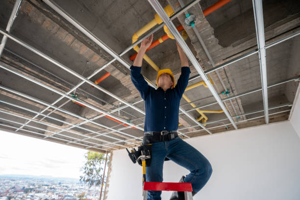 Best Plumbing Repair Near Me  in Yorkvle, IL